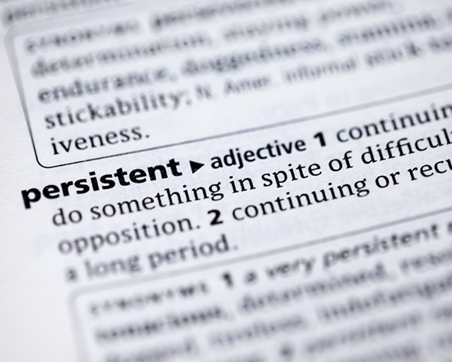 Dictionary page defining Persistent